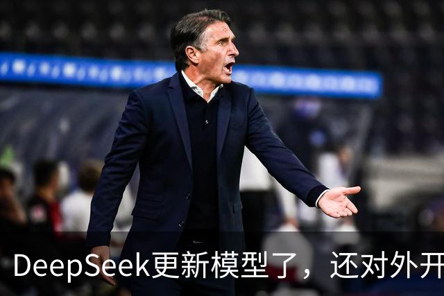 DeepSeek更新模型了，还对外开放了搜索引擎